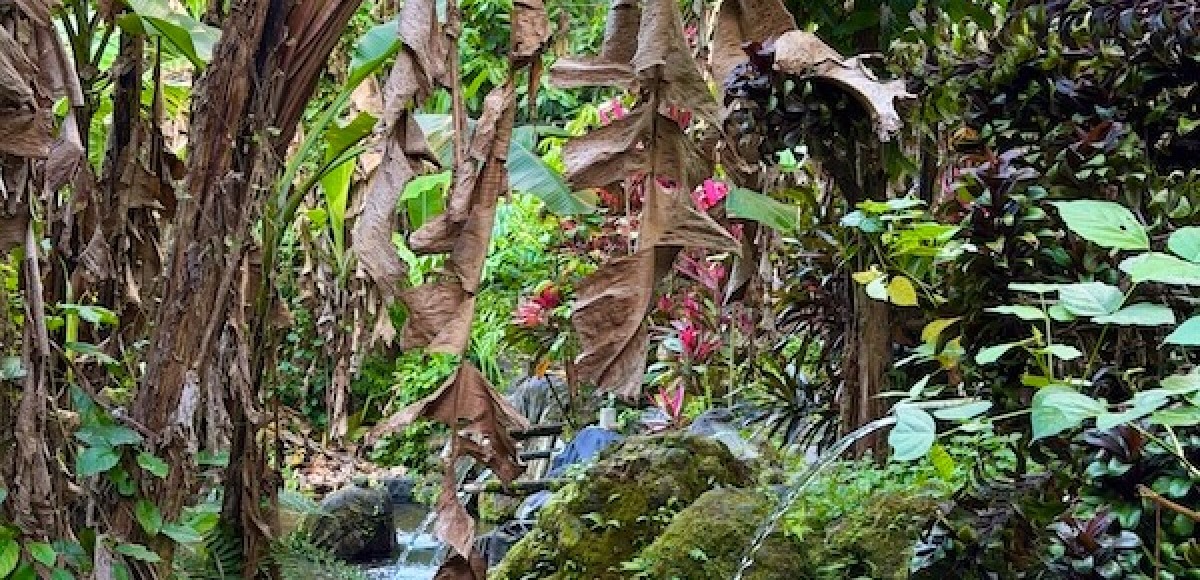 Programma vrouwenretreat Oost-Bali